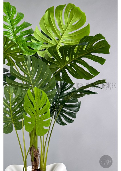 Yapay Monstera Ağacı 170 cm Bone Saksıda