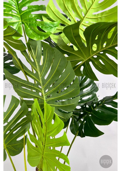 Yapay Monstera Ağacı 170 cm Bone Saksıda