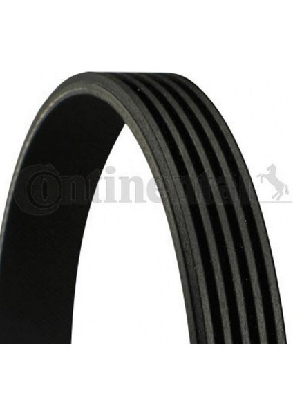 Mtxdpn Kanalli Kayiş Clio-1.6 16V K4M 98 -1.4 8 V E7J-K4J