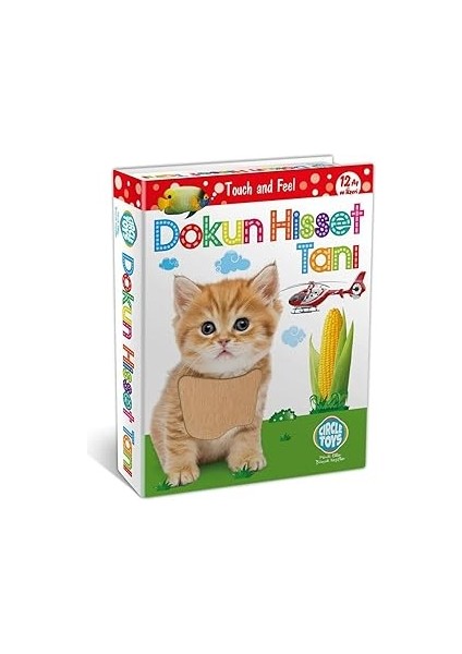 Dokun Hisset Tanı Eğitim Kartları, Zeka Kartları