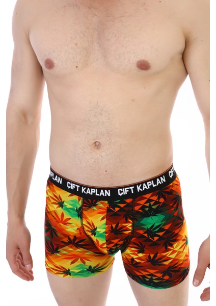 0796 Digital Boxer D12