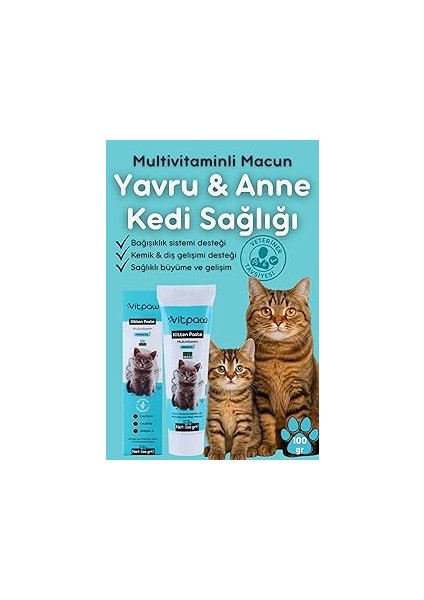 Vitpaw Kitten Paste 100 Gr.(Yavru & Anne Kedi̇ Bağişiklik Destekleyi̇ci̇ Multi̇vi̇tami̇n Malt) Yavru Kedi