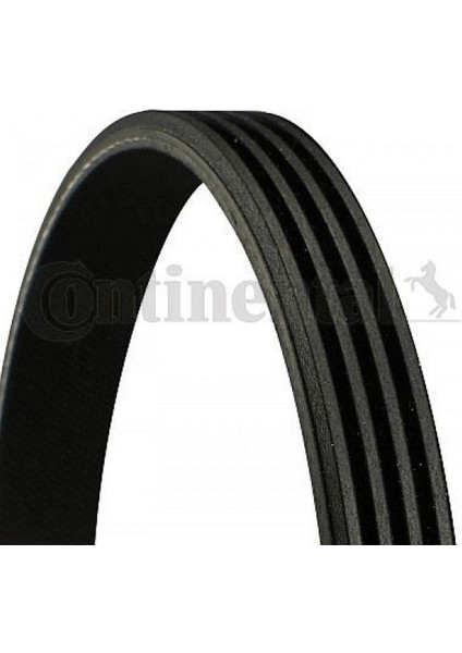 Mtxdpn Kanalli Kayiş Micro Clio Ii 98 Kng 97 Twng 96 1.2-1.2 16V