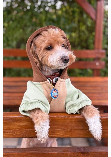 Küçük ırk caramel köpek hoodie fiyatları