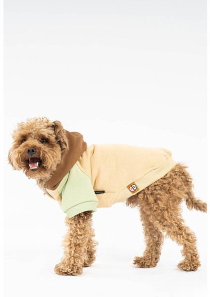 Küçük ırk caramel köpek hoodie indirimleri