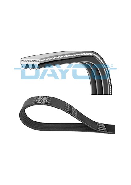 Mtxdpn Kanalli Kayiş Bmw E31-E32 M70 1987-1994