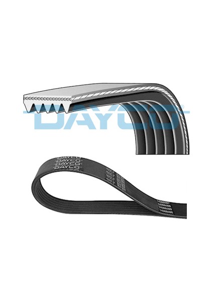 Mtxdpn Kanalli Kayiş