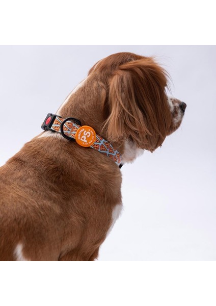 Pizza Desenli Köpek Boyun Tasması Ayarlanabilir Köpek Tasması M Size (32-48CM Boyun Aralığı)
