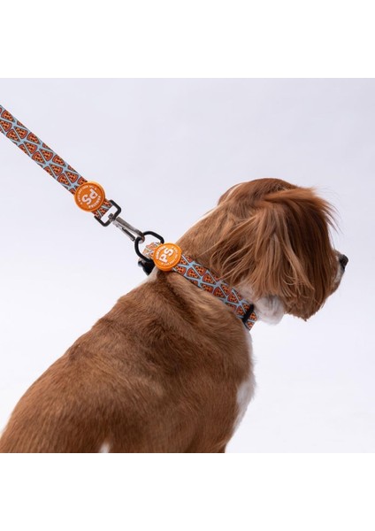 Pizza Desenli Köpek Boyun Tasması Ayarlanabilir Köpek Tasması M Size (32-48CM Boyun Aralığı) fiyatları