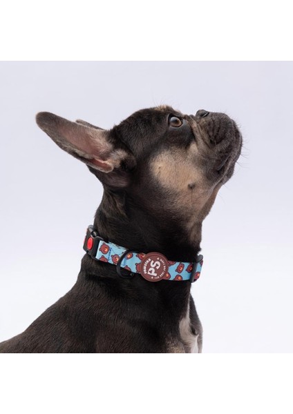 Bears Ayı Desenli Köpek Boyun Tasması Ayarlanabilir Köpek Tasması M Size (32-48CM Boyun Aralığı)