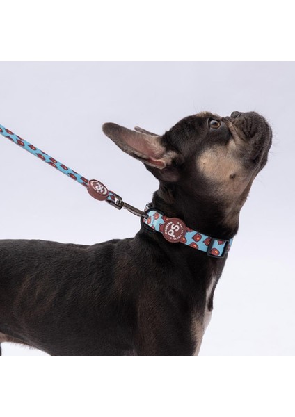 Bears Ayı Desenli Köpek Boyun Tasması Ayarlanabilir Köpek Tasması M Size (32-48CM Boyun Aralığı) fiyatları