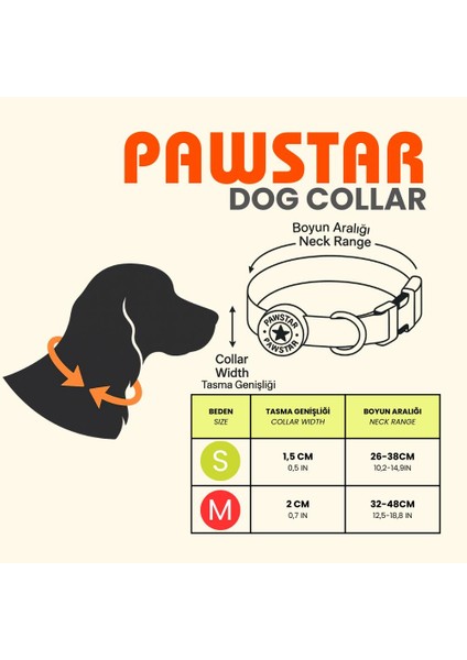 Bears Ayı Desenli Köpek Boyun Tasması Ayarlanabilir Köpek Tasması M Size (32-48CM Boyun Aralığı) fırsatları