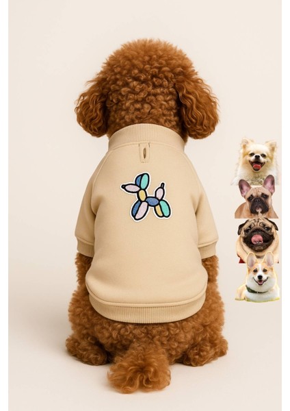 Nakış baskılı küçük ırk köpek sweatshirt, Balloon köpek kıyafeti