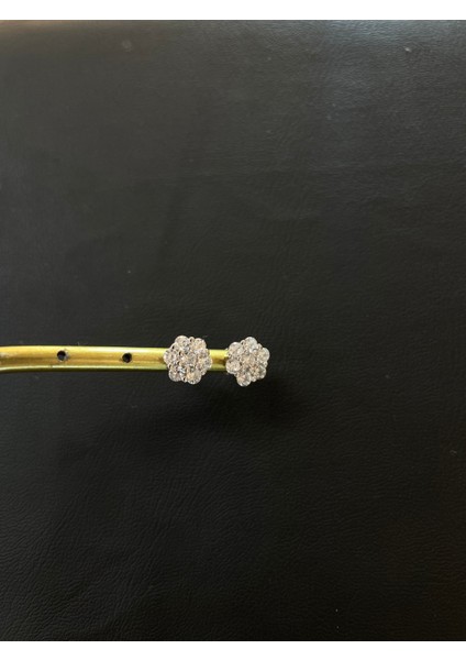 Ithal Reına Model Düz Kadın Gümüş Küpe