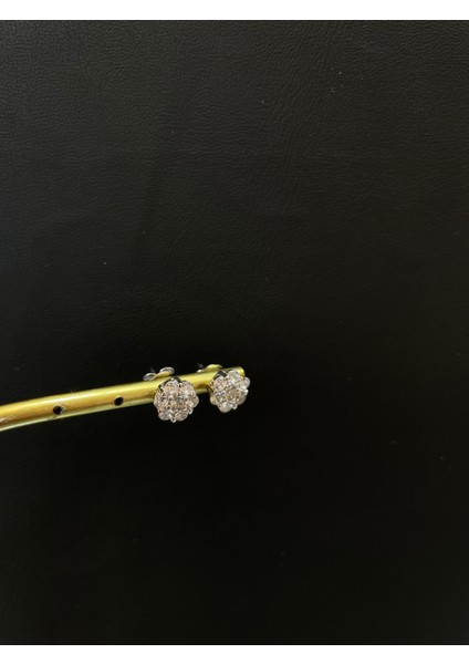 Ithal Reına Model Düz Kadın Gümüş Küpe fiyatları