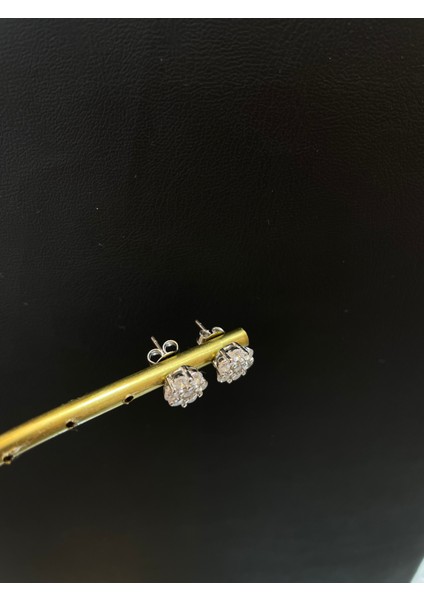 Ithal Reına Model Düz Kadın Gümüş Küpe modelleri