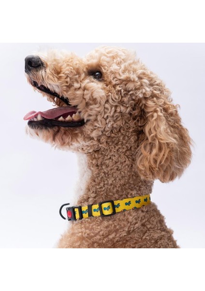 Cactus Kaktüs Desenli Köpek Boyun Tasması Ayarlanabilir Köpek Tasması M Size (32-48CM Boyun Aralığı)