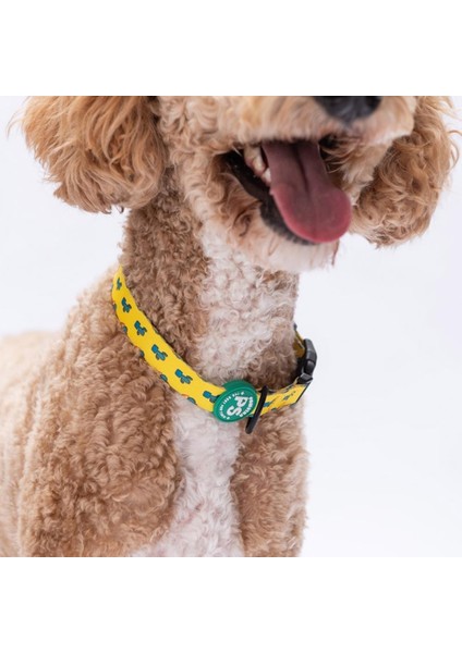 Cactus Kaktüs Desenli Köpek Boyun Tasması Ayarlanabilir Köpek Tasması M Size (32-48CM Boyun Aralığı) fiyatları