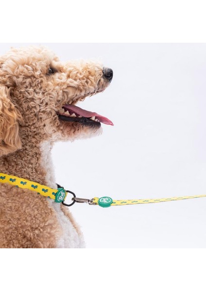 Cactus Kaktüs Desenli Köpek Boyun Tasması Ayarlanabilir Köpek Tasması M Size (32-48CM Boyun Aralığı) fırsatları