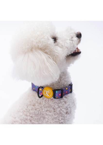 Ice Cream Dondurma Desenli Köpek Boyun Tasması Ayarlanabilir Köpek Tasması M Size (32-48CM Boyun Aralığı)