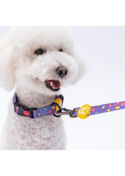 Ice Cream Dondurma Desenli Köpek Boyun Tasması Ayarlanabilir Köpek Tasması M Size (32-48CM Boyun Aralığı) fiyatları
