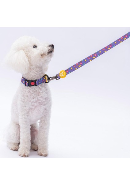Ice Cream Dondurma Desenli Köpek Boyun Tasması Ayarlanabilir Köpek Tasması M Size (32-48CM Boyun Aralığı) modelleri