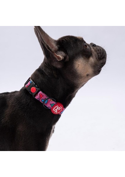 Hearts Kalp Desenli Köpek Boyun Tasması Ayarlanabilir Köpek Tasması M Size (32-48CM Boyun Aralığı)