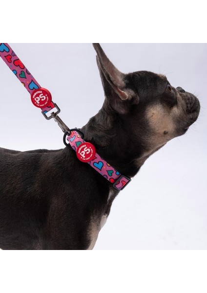 Hearts Kalp Desenli Köpek Boyun Tasması Ayarlanabilir Köpek Tasması M Size (32-48CM Boyun Aralığı) fiyatları