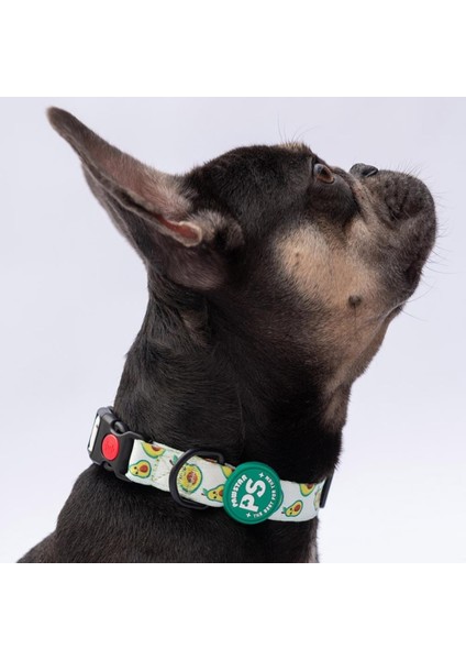 Avocado Avokado Desenli Köpek Boyun Tasması Ayarlanabilir Köpek Tasması M Size (32-48CM Boyun Aralığı)