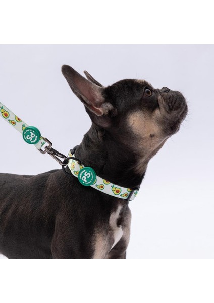 Avocado Avokado Desenli Köpek Boyun Tasması Ayarlanabilir Köpek Tasması M Size (32-48CM Boyun Aralığı) fiyatları