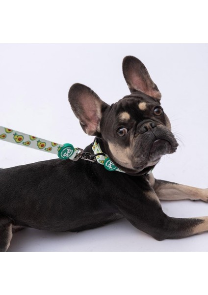 Avocado Avokado Desenli Köpek Boyun Tasması Ayarlanabilir Köpek Tasması M Size (32-48CM Boyun Aralığı) modelleri