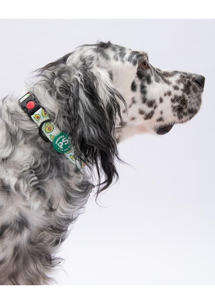 Avocado Avokado Desenli Köpek Boyun Tasması Ayarlanabilir Köpek Tasması M Size (32-48CM Boyun Aralığı) fırsatları