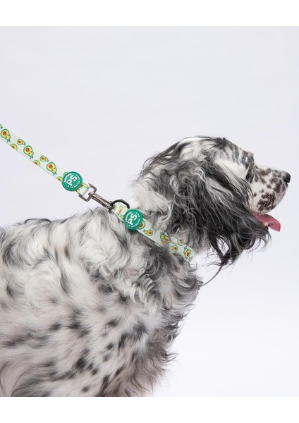 Avocado Avokado Desenli Köpek Boyun Tasması Ayarlanabilir Köpek Tasması M Size (32-48CM Boyun Aralığı) indirimleri