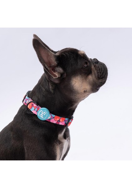 Balloons Balon Desenli Köpek Boyun Tasması Ayarlanabilir Köpek Tasması M Size (32-48CM Boyun Aralığı)