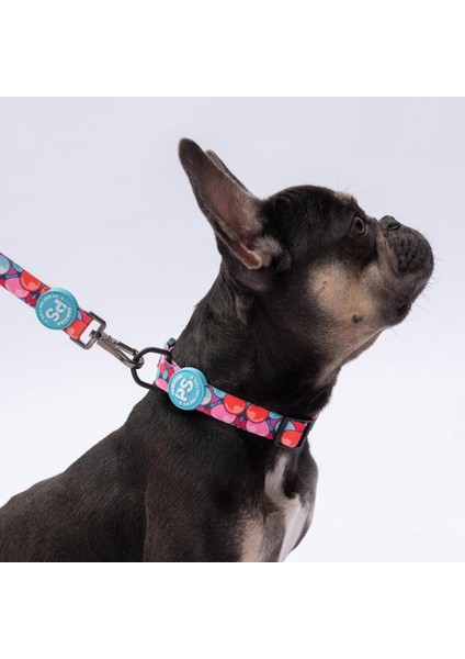 Balloons Balon Desenli Köpek Boyun Tasması Ayarlanabilir Köpek Tasması M Size (32-48CM Boyun Aralığı) fiyatları
