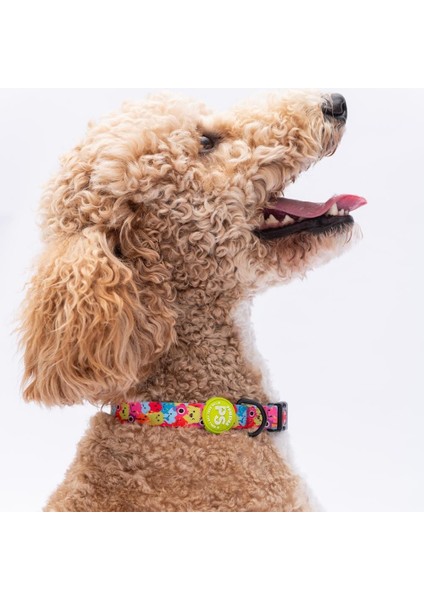 Monsters Canavar Desenli Köpek Boyun Tasması Ayarlanabilir Köpek Tasması M Size (32-48CM Boyun Aralığı)