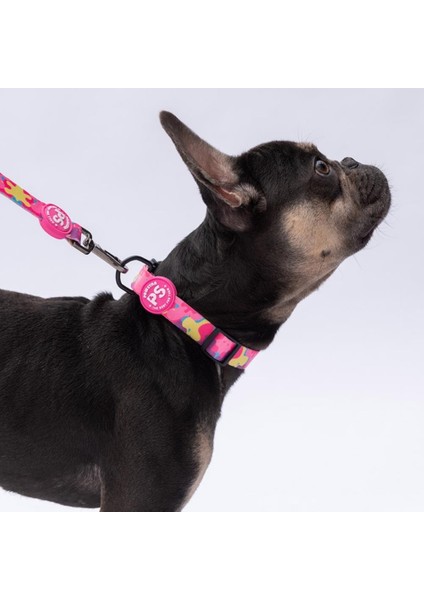 Rosea Camouflage Pembe Kamuflaj Desenli Köpek Boyun Tasması Ayarlanabilir Köpek Tasması M Size (32-48CM Boyun Aralığı) fiyatları