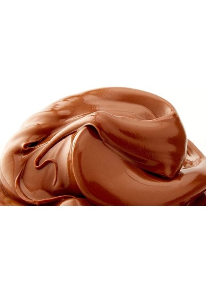 Sürülebilir Ithal Kakaolu Fındık Kreması Food Service 3000 gr fiyatları