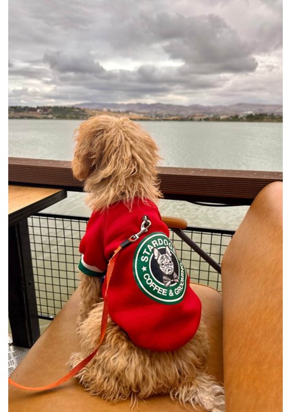 Stardogs Köpek College Ceket, Küçük ırk köpek kıyafeti