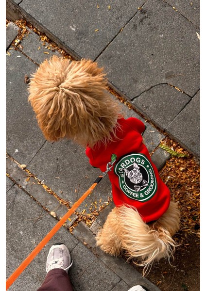 Stardogs Köpek College Ceket, Küçük ırk köpek kıyafeti fiyatları