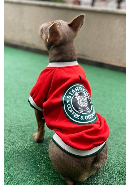 Stardogs Köpek College Ceket, Küçük ırk köpek kıyafeti modelleri