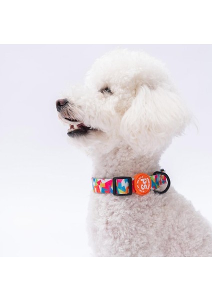 Mosaic Mozaik Desenli Köpek Boyun Tasması Ayarlanabilir Köpek Tasması M Size (32-48CM Boyun Aralığı)