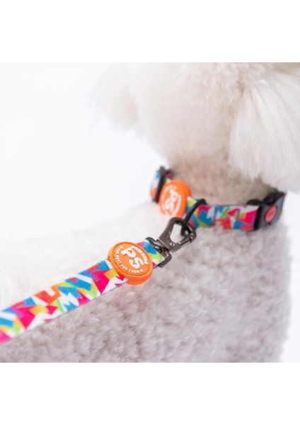 Mosaic Mozaik Desenli Köpek Boyun Tasması Ayarlanabilir Köpek Tasması M Size (32-48CM Boyun Aralığı) fiyatları