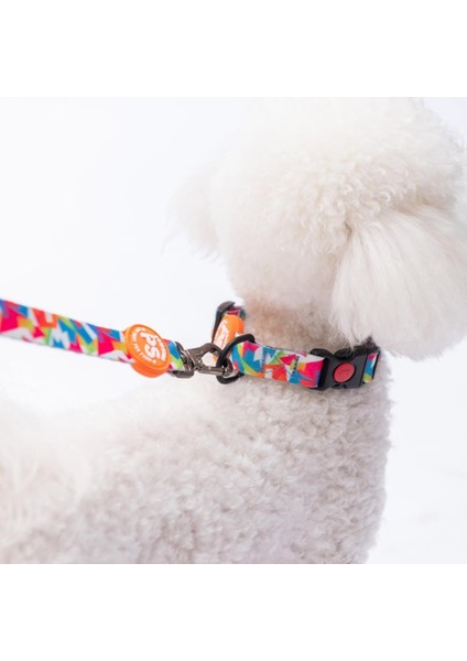 Mosaic Mozaik Desenli Köpek Boyun Tasması Ayarlanabilir Köpek Tasması M Size (32-48CM Boyun Aralığı) modelleri