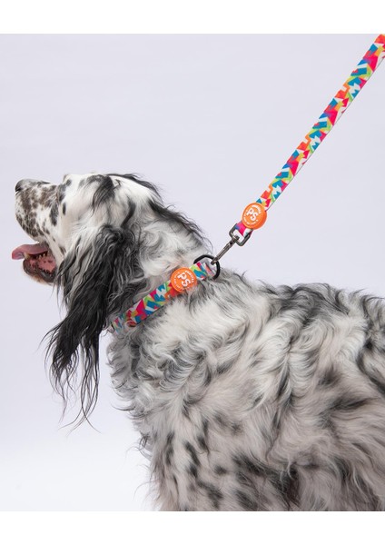 Mosaic Mozaik Desenli Köpek Boyun Tasması Ayarlanabilir Köpek Tasması M Size (32-48CM Boyun Aralığı) fırsatları