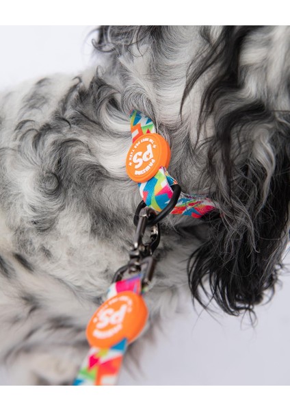 Mosaic Mozaik Desenli Köpek Boyun Tasması Ayarlanabilir Köpek Tasması M Size (32-48CM Boyun Aralığı) indirimleri