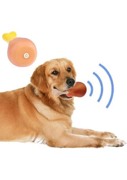 Bzrv Köpekler Için Oyuncak Tavuk Budu modelleri