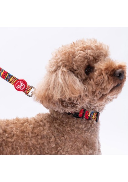 Wow Popart Desenli Köpek Boyun Tasması Ayarlanabilir Köpek Tasması M Size (32-48CM Boyun Aralığı) fiyatları