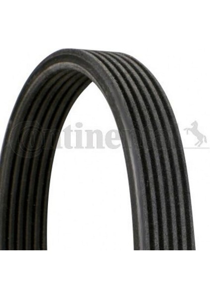 Mtxdpn Kanalli Kayiş Vw Caddy 1.9tdi Sdi 8V 04 2.0tdi 8V 07 Transporter T5 1.9tdi 8V 03-09