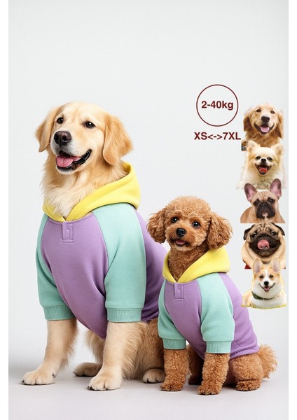 Küçük ve büyük ırk köpek hoodie, Positive köpek kıyafeti 2-45kg